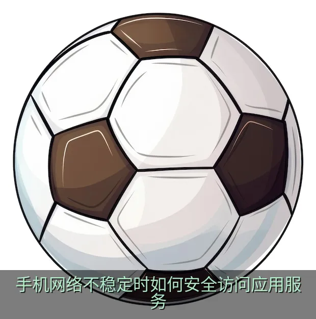 手机网络不稳定时如何安全访问应用服务